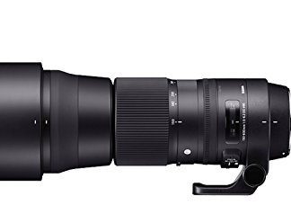 Sigma Sigma 150-600mm f/5-6.3 DG OS HSM Contemporary + TC-1401 (Nikon)