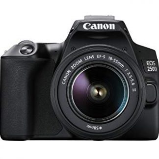 Canon Canon EOS 250D Kit (EF-S 18-55mm DC III) (Black)