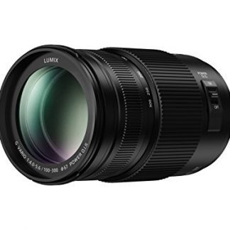 Panasonic Lumix G Vario 100-300mm f/4-5.6 II POWER O.I.S. Lens (HFSA100300E)