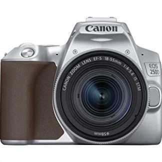 Canon Canon EOS 250D Kit (EF-S 18-55mm STM) (Silver)