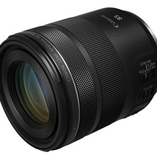 Canon RF 85mm f/2 Macro IS STM Lens