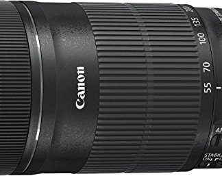 Canon EF-S 55-250mm f/4-5.6 IS STM (Retail Box) Lens