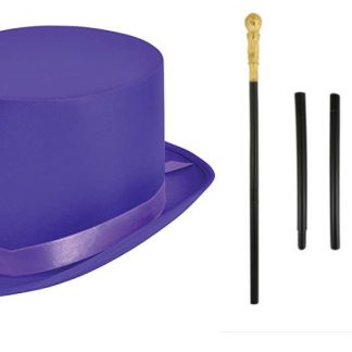 fancy dress top hat and cane