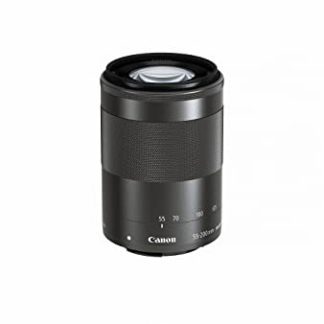 Canon RF 85mm f/1.2L USM DS