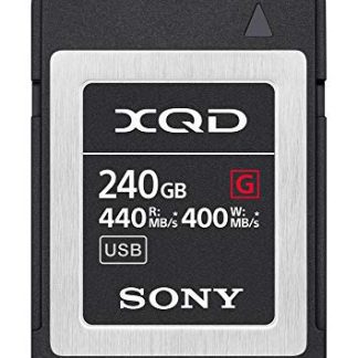 Sony G Series XQD (240GB, QD-G240)