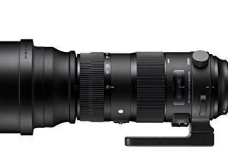 Sigma 150-600mm F5-6.3 DG OS HSM Sport Lens + TC-1401 (Nikon)