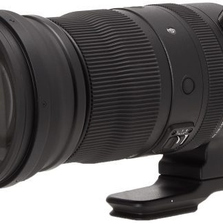 Sigma 150-600mm f/5-6.3 DG DN OS Sports Lens (Sony E)