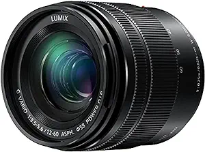 Panasonic Lumix G Vario 12-60mm f/3.5-5.6 ASPH. POWER O.I.S. Lens (H-FS12060)