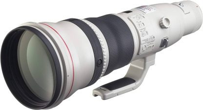 Canon RF 800mm f/5.6 L IS USM Lens