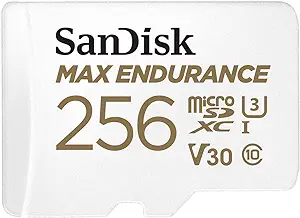 Sandisk MAX Endurance (256GB, SDSQQVR-256G-GN6IA)