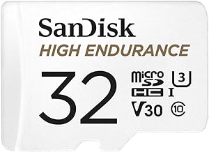 SanDisk High Endurance MicroSD Card (32GB, SDSQQNR-032G)