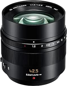 Panasonic Panasonic 42.5mm F1.2 ASPH. POWER O.I.S. (HNS043E)