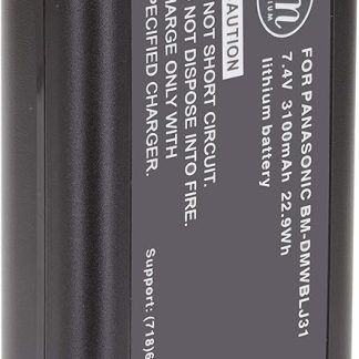 Panasonic DMW-BLJ31 Battery (Bulk Pack)