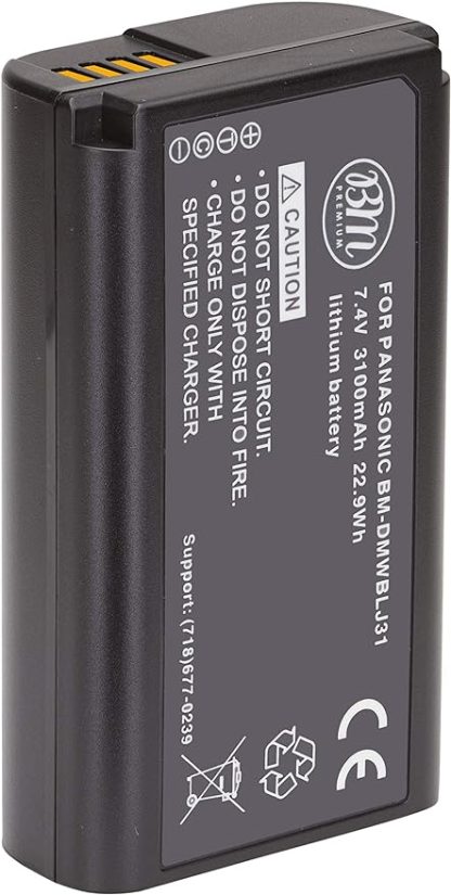 Panasonic DMW-BLJ31 Battery (Bulk Pack)