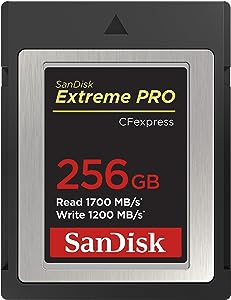 SanDisk Extreme PRO CFexpress Card Type B (256GB, SDCFE-256G-GN4NN)