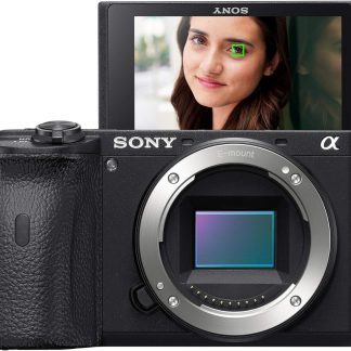 Sony Sony A6600 Black (Body Only)